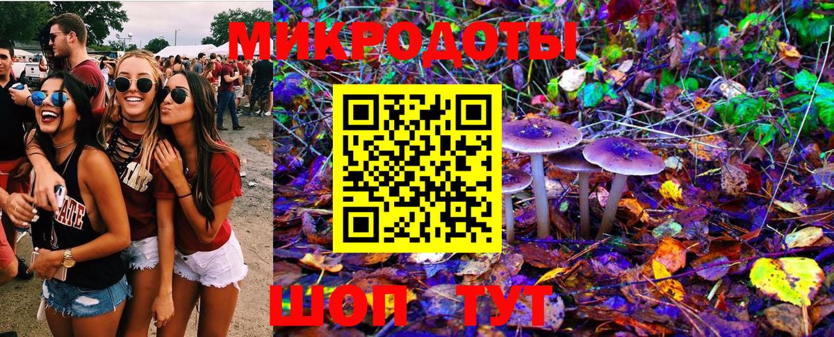 Сердобск  Галлюциногенные грибы мухоморы  где купить наркоту  Вход с VPN 