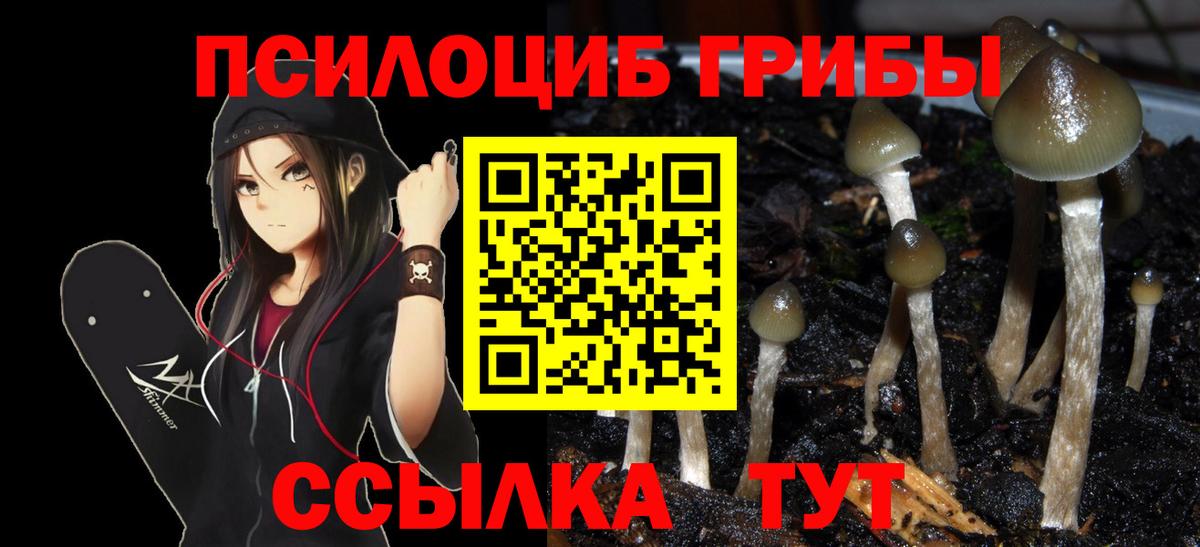 Галлюциногенные грибы ЛСД Сердобск